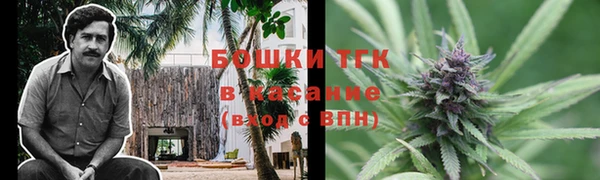 шишки Бугульма