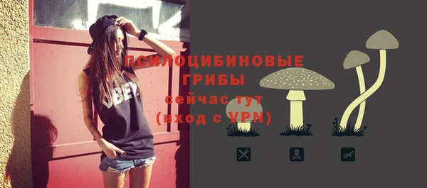 шишки Бугульма