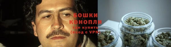 шишки Бугульма