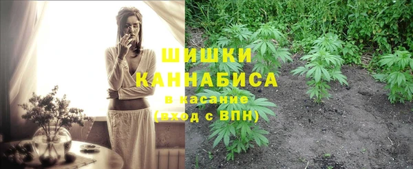 скорость Бородино