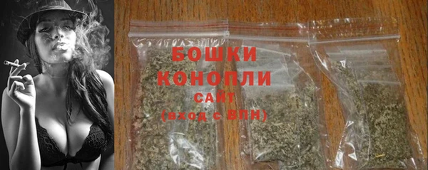 скорость Бородино