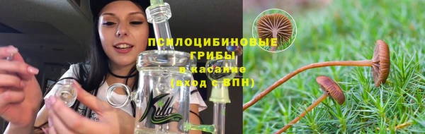 шишки Бугульма