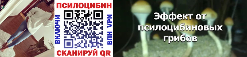 Галлюциногенные грибы Cubensis  Гдов 
